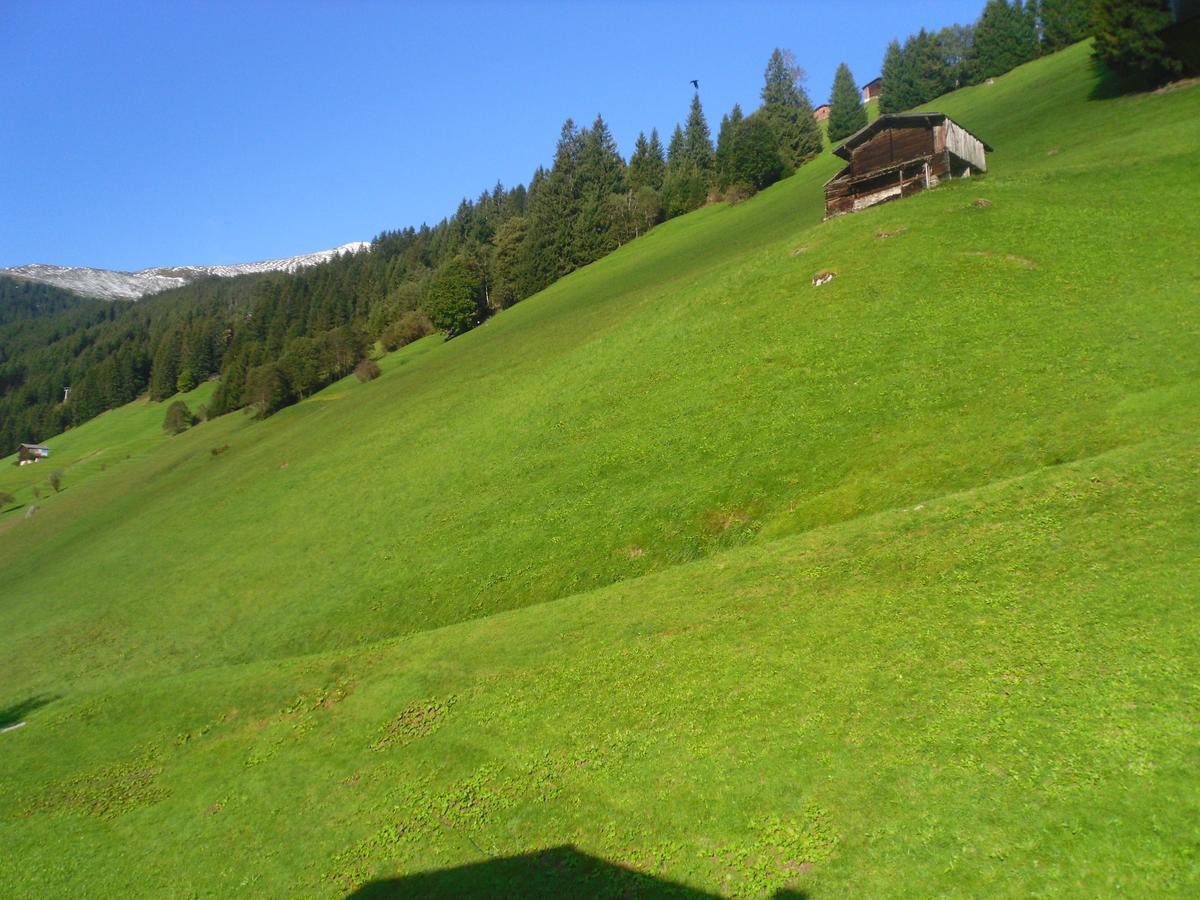 Gruenwaldhof Bed & Breakfast Тукс Екстериор снимка